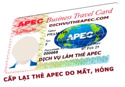 dịch vụ cấp lại thẻ apec do mất, hỏng