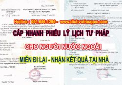Cấp phiếu lý lịch tư pháp cho người nước ngoài
