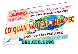 Cơ quan nào cấp thẻ Apec